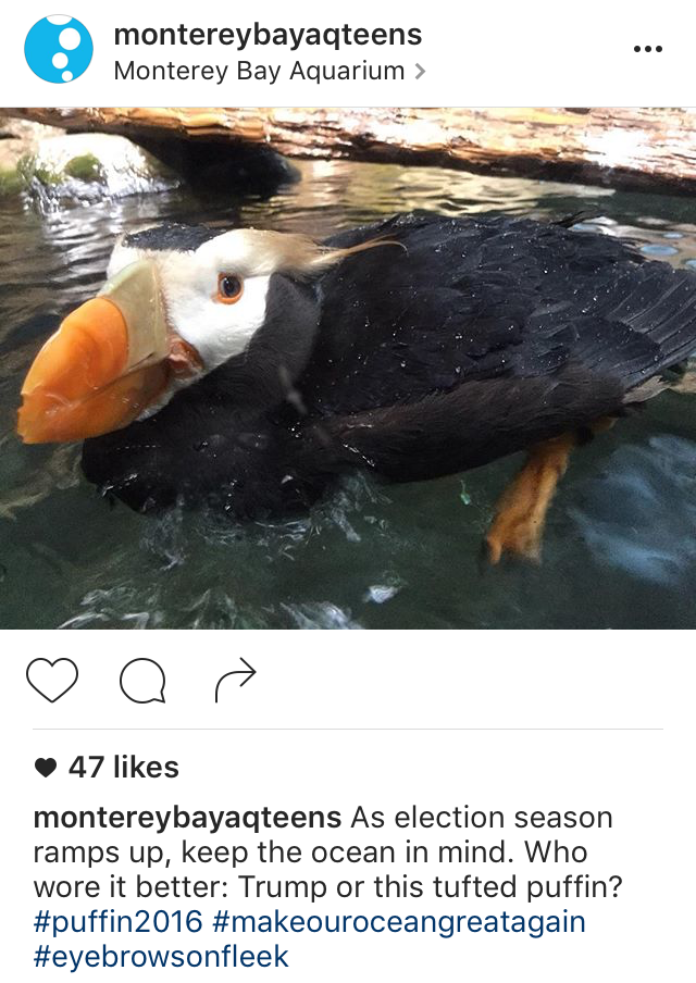 Instagram Post
